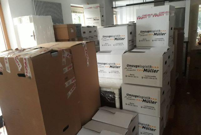 Labor Umzug preise erfahren in Roßwein